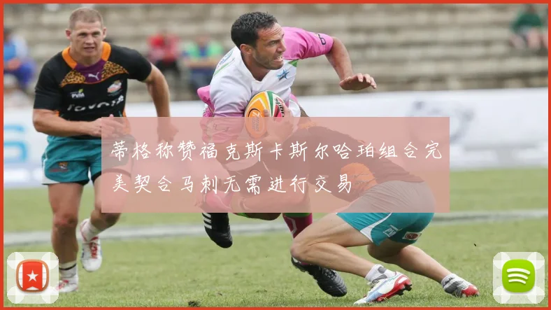 蒂格称赞福克斯卡斯尔哈珀组合完美契合马刺无需进行交易